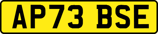 AP73BSE