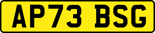 AP73BSG