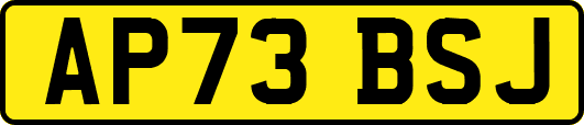 AP73BSJ
