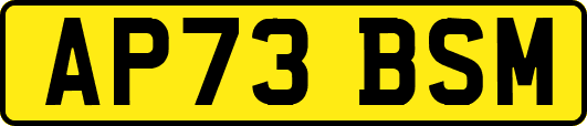 AP73BSM