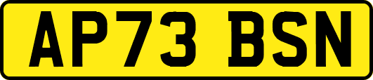 AP73BSN