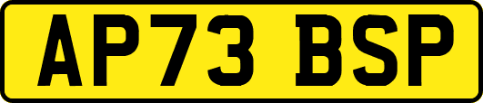 AP73BSP