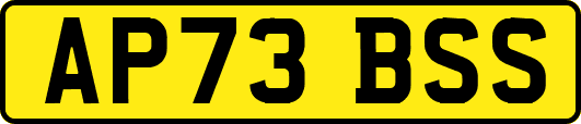 AP73BSS
