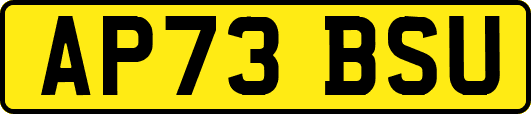 AP73BSU