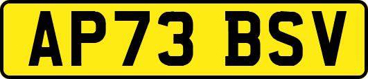 AP73BSV