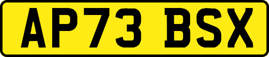AP73BSX