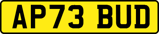 AP73BUD
