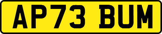AP73BUM