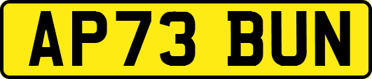 AP73BUN