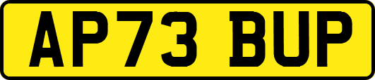 AP73BUP