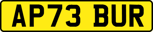 AP73BUR