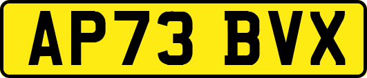 AP73BVX