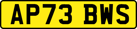 AP73BWS