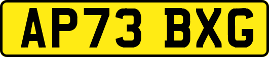 AP73BXG