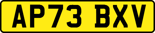AP73BXV