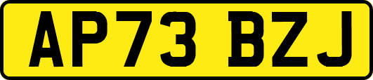 AP73BZJ