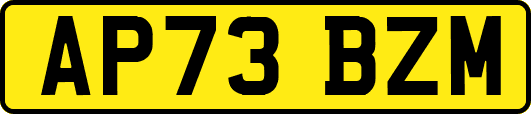 AP73BZM