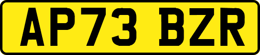 AP73BZR