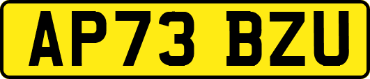 AP73BZU