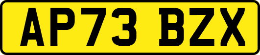 AP73BZX