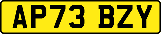 AP73BZY