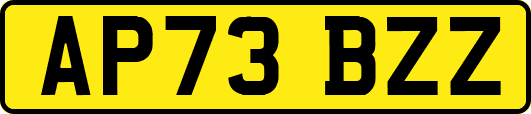 AP73BZZ