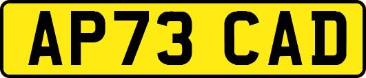 AP73CAD