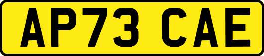 AP73CAE