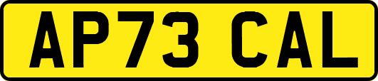 AP73CAL
