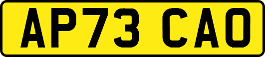 AP73CAO