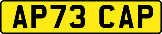 AP73CAP