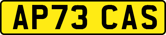 AP73CAS