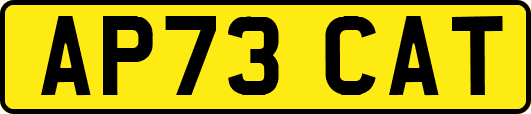 AP73CAT