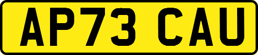 AP73CAU