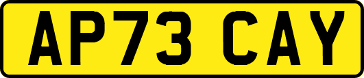 AP73CAY