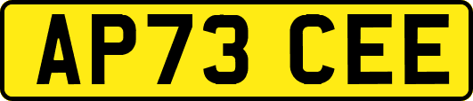 AP73CEE