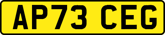 AP73CEG