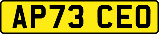 AP73CEO