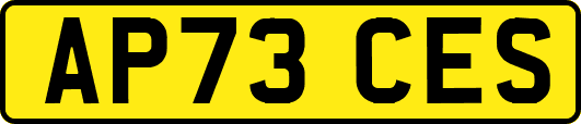 AP73CES