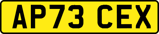 AP73CEX