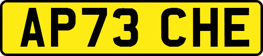 AP73CHE