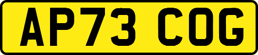 AP73COG