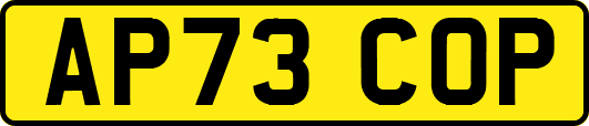 AP73COP