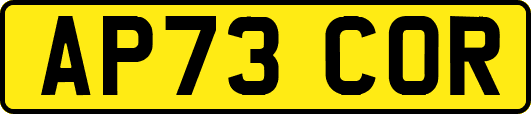 AP73COR