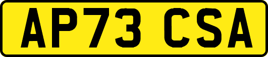 AP73CSA