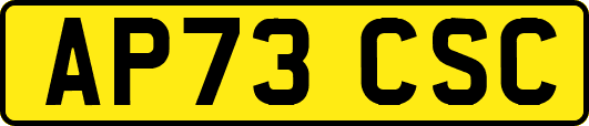 AP73CSC