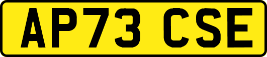 AP73CSE