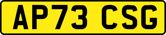 AP73CSG