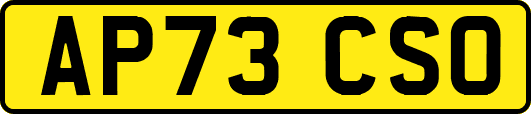 AP73CSO