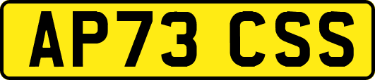 AP73CSS